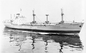 Hellenic Pioneer